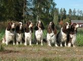 Ella Ruuni Junior Handler tuomarina